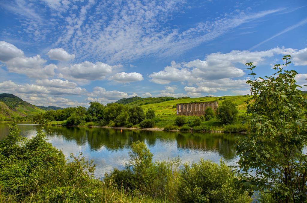 Hotel Lipmann "Am Klosterberg" Beilstein  Dış mekan fotoğraf