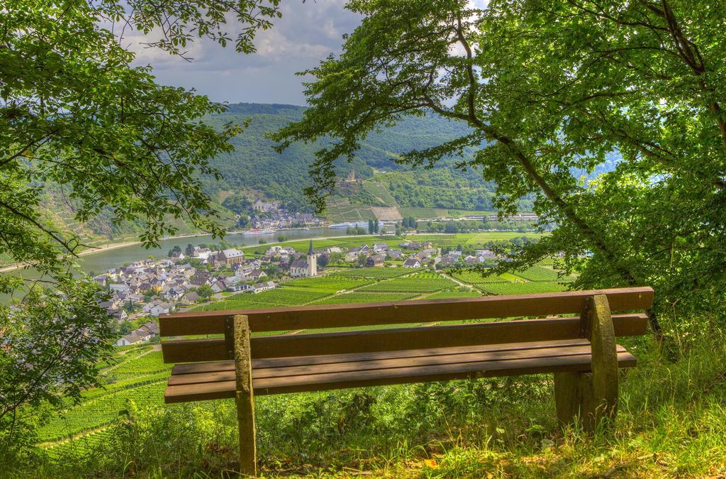 Hotel Lipmann "Am Klosterberg" Beilstein  Dış mekan fotoğraf
